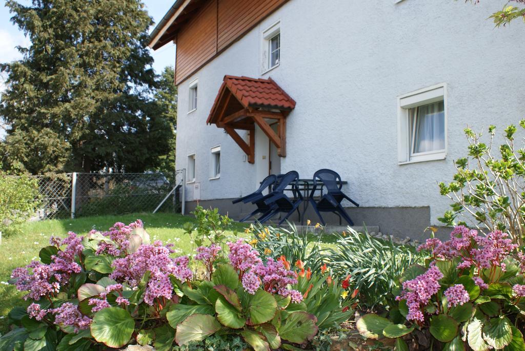 Mayerhofer House Linz Bilik gambar