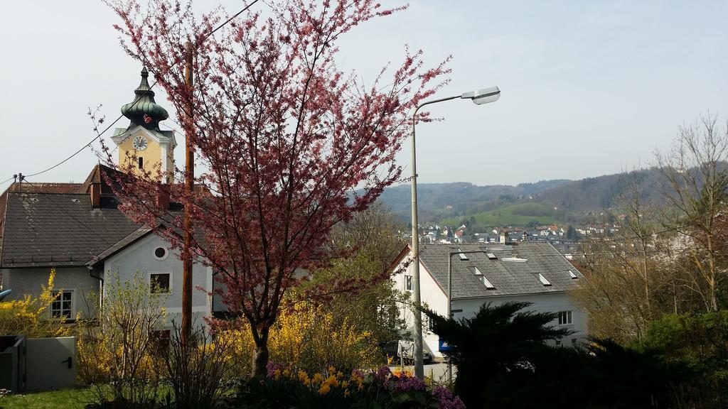 Mayerhofer House Linz Luaran gambar