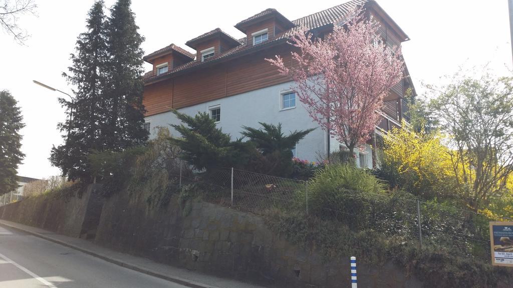 Mayerhofer House Linz Luaran gambar