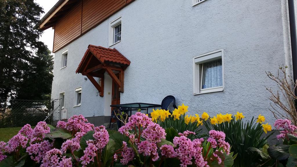 Mayerhofer House Linz Luaran gambar