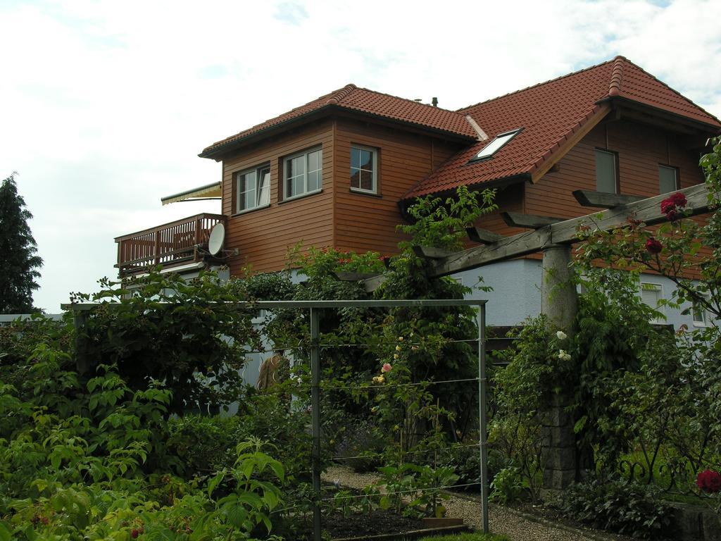 Mayerhofer House Linz Luaran gambar